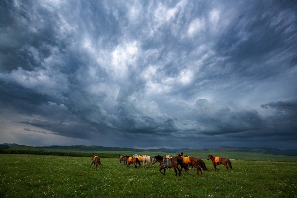 赤峰小鹿?fàn)I地電話多少號碼-第1張圖片