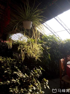 赤峰市豪華飯店電話號碼查詢-第1張圖片