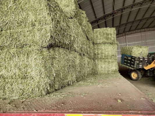 赤峰出售草場電話號碼是多少號-第1張圖片