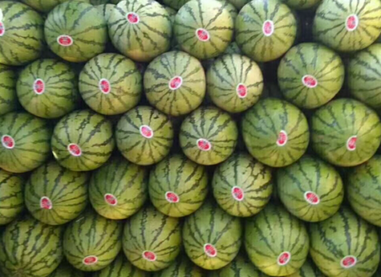 赤峰烏丹禽類屠宰場電話號碼-第1張圖片