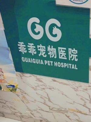 赤峰市寵物美容團(tuán)購(gòu)電話號(hào)碼-第1張圖片