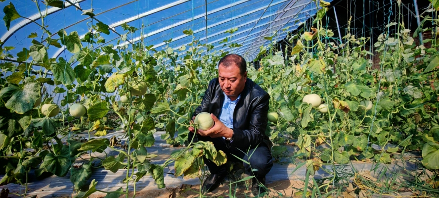 赤峰大棚遮陽棚廠家電話號(hào)碼-第1張圖片