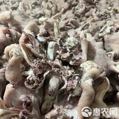 赤峰市園林路羊頭館電話號(hào)碼-第1張圖片