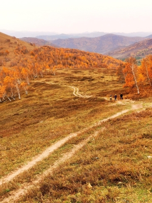 赤峰天邦草業(yè)銷售部電話號(hào)碼-第1張圖片