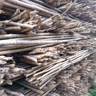 赤峰市賣竹竿廠家電話號碼-第1張圖片