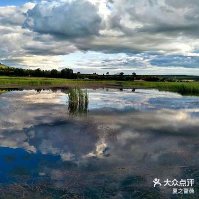 赤峰小蜜蜂搬家公司電話號碼-第1張圖片