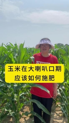 赤峰市玉米追肥廠家電話號(hào)碼-第1張圖片