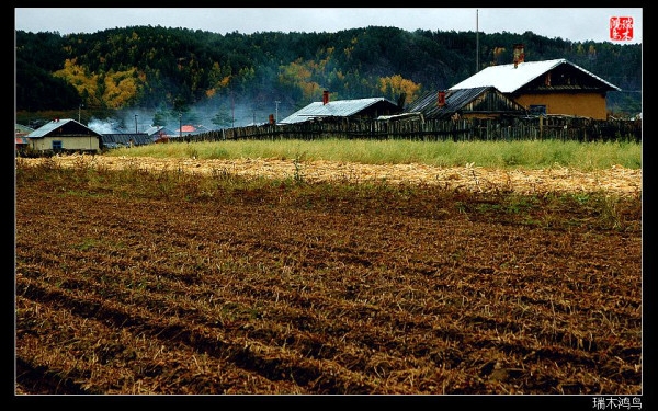 赤峰鴻鳥(niǎo)燒烤地址查詢(xún)電話(huà)號(hào)碼-第1張圖片