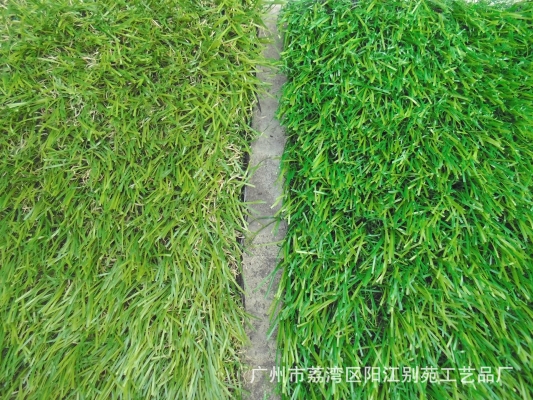 赤峰運動草皮廠家電話號碼查詢-第1張圖片