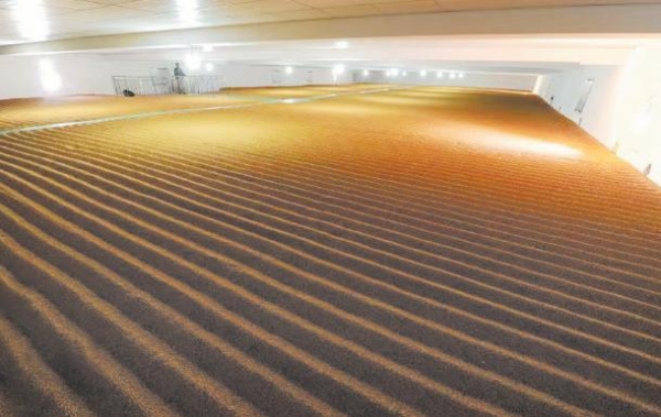 赤峰糧油鮮榨機(jī)廠家電話號(hào)碼-第1張圖片