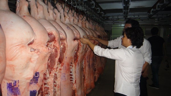 赤峰附近的豬肉屠宰場電話號碼-第1張圖片