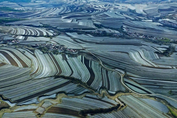 赤峰慧姐理發(fā)店地址電話號碼-第1張圖片