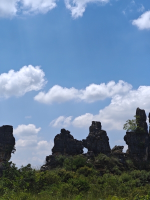 赤峰乃林紅磚廠電話多少號-第1張圖片