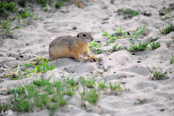 赤峰歐禾料理店電話地址查詢-第1張圖片