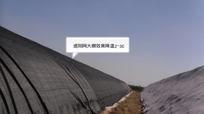 赤峰大棚遮陽網(wǎng)廠家電話號碼-第1張圖片