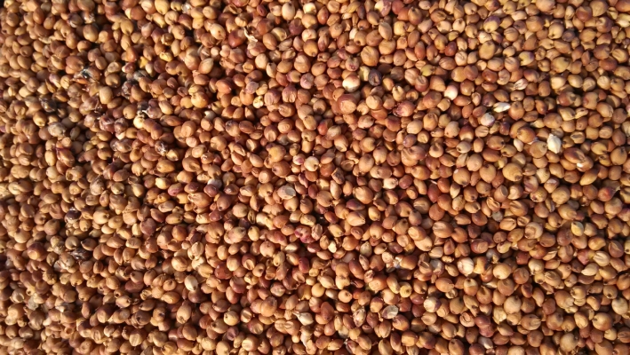 赤峰本地鉬絲供應(yīng)商電話號碼-第1張圖片