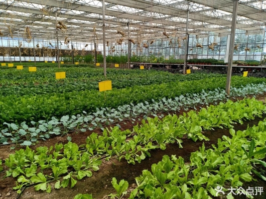 赤峰市小韓垂釣園電話號碼-第1張圖片