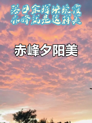 赤峰慕宗勛獸藥店電話地址查詢-第1張圖片