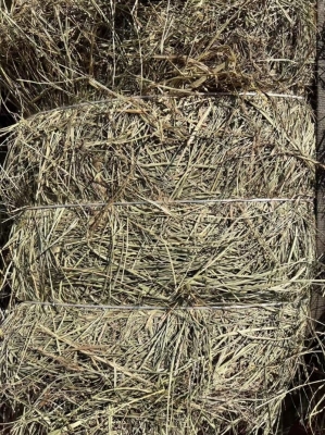 赤峰賣莜麥的電話號碼查詢是多少-第1張圖片