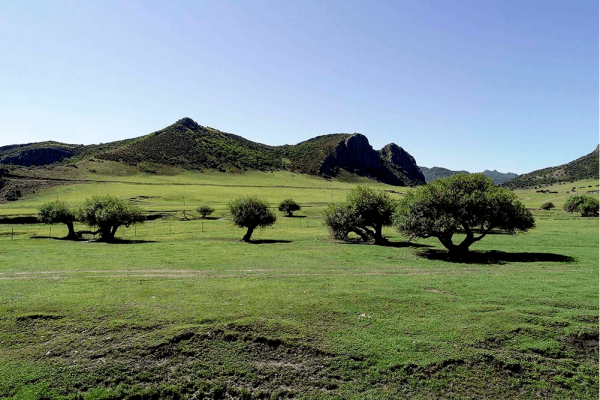 赤峰市林東鎮(zhèn)球館地址電話號碼-第1張圖片