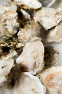 赤峰收舊盤子電話號碼多少號-第1張圖片