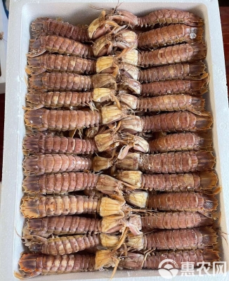 赤峰冷凍蝦批發(fā)電話多少號(hào)-第1張圖片