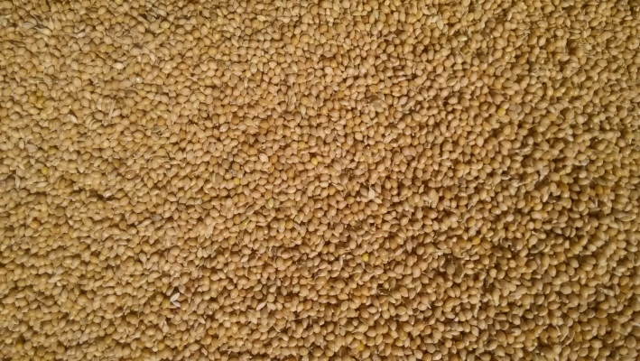 內(nèi)蒙古赤峰生鮮配送電話號碼-第1張圖片