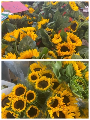 赤峰新天地鮮花批發(fā)電話號碼-第1張圖片