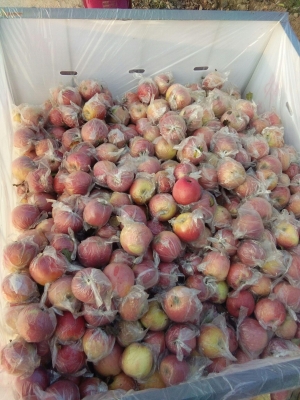 赤峰愛爾法化肥批發(fā)電話號碼-第1張圖片