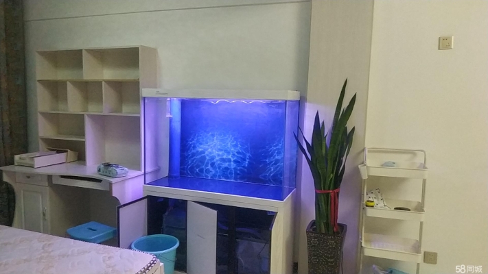 赤峰最大的寵物店電話號(hào)碼是多少-第1張圖片