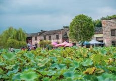 赤峰市古村優(yōu)惠團(tuán)購網(wǎng)電話號碼-第1張圖片