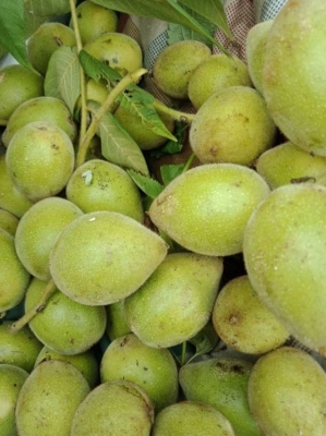 赤峰松山區(qū)雜貨店電話號碼-第1張圖片