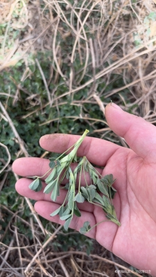 赤峰隴鑫網(wǎng)吧電話多少號(hào)碼-第1張圖片