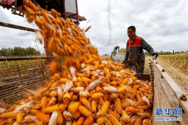 赤峰市敖漢旗連長山社區(qū)電話號(hào)碼-第1張圖片