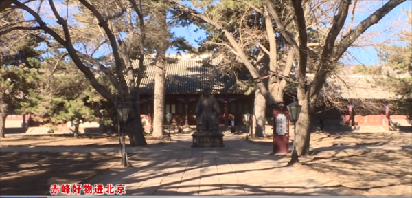 赤峰至喀喇沁客車電話號碼-第1張圖片