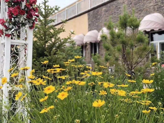 赤峰花甸鮮花店地址電話號碼-第1張圖片