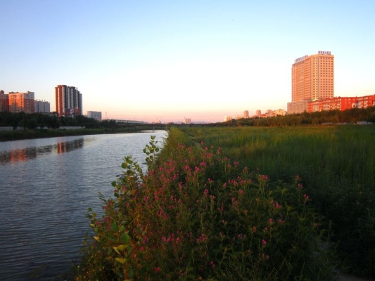 赤峰英金路加油站電話號碼-第1張圖片