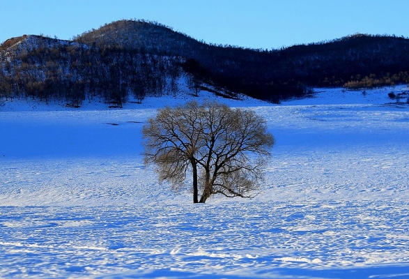 赤峰市錫伯河冬泳館電話號(hào)碼-第1張圖片