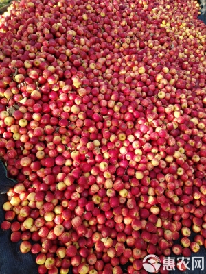 赤峰水果精品店電話號碼多少-第1張圖片