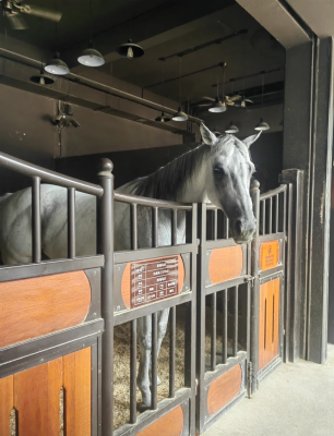 赤峰市區(qū)恐龍公園電話多少號(hào)-第1張圖片