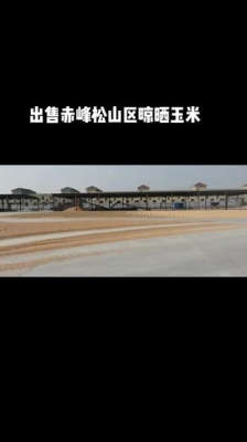 赤峰苞米種植基地電話多少號-第1張圖片