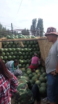 赤峰八斤飯店地址電話查詢號碼-第1張圖片
