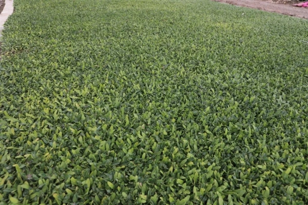 赤峰養(yǎng)鹿合作社招聘電話號(hào)碼-第1張圖片