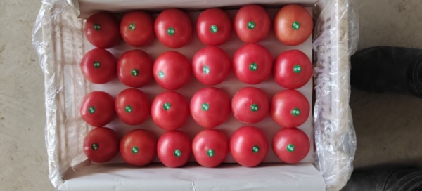 赤峰筷子包裝廠電話多少號-第1張圖片