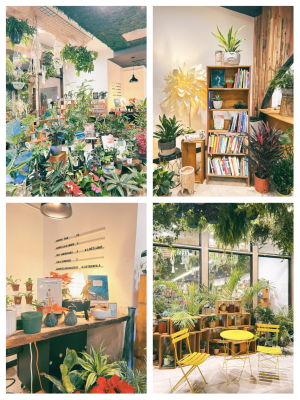 赤峰植物園書屋電話多少號-第1張圖片