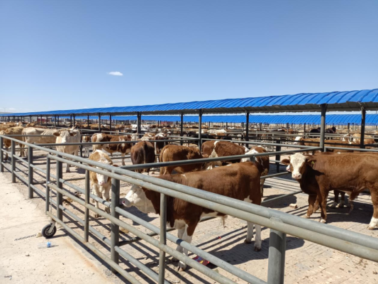 赤峰眾信國旅酒店電話地址查詢-第1張圖片