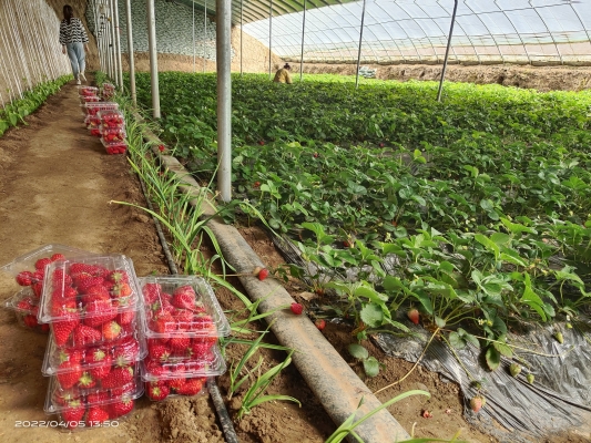 赤峰王靜合作社簡(jiǎn)介電話號(hào)碼-第1張圖片