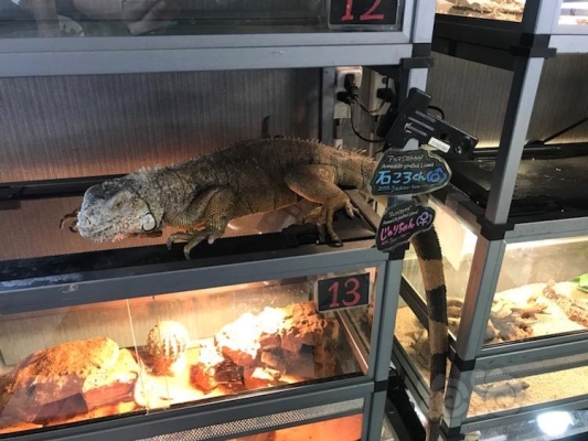 赤峰市爬蟲館電話多少號-第1張圖片