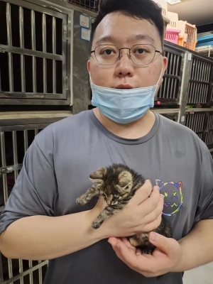 赤峰寵物病狗救助站電話號(hào)碼-第1張圖片