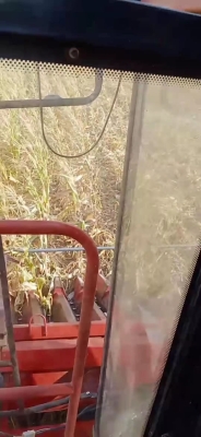 赤峰收割機(jī)托運(yùn)電話號(hào)碼查詢-第1張圖片